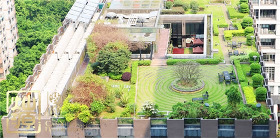 网易游戏裁员官方否认 【多图】盘点那些恐遭裁员的网易游戏办公室